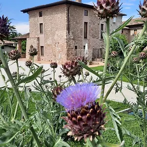 Corte Davini Séjour à la ferme
