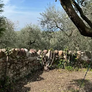 https://vicolo-5.hotelinveneto.com